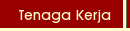 Ketenagakerjaan