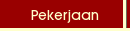 Pekerjaan
