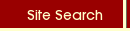 Site Search