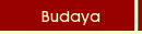 Budaya